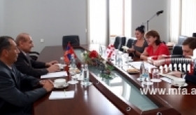 Ambassador's Meeting with Maya Pandjikidze