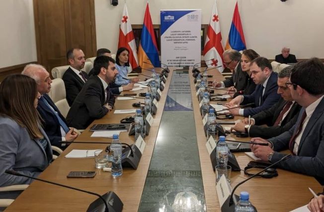 Первое совместное заседание внешнеполитических комиссий НС РА и Парламента Грузии в Тбилиси